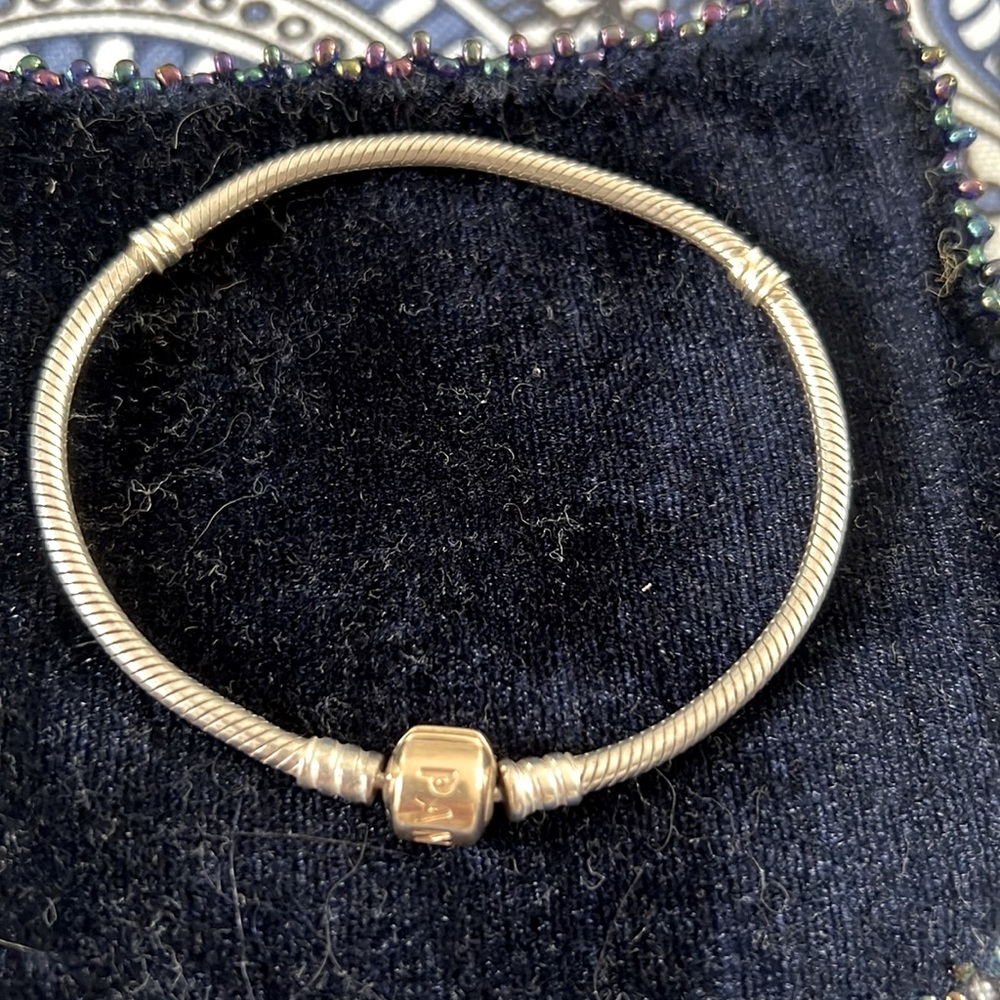 Silver Pandora bracelet